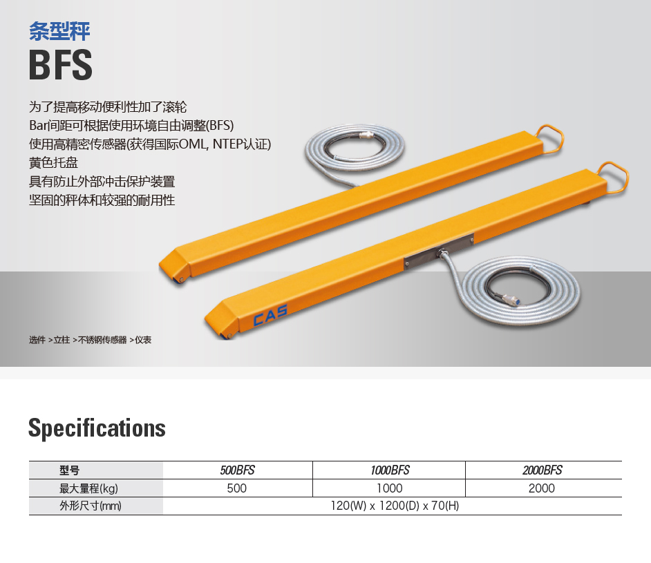 BFS 条型地磅(图1)